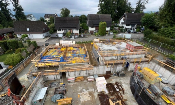3DEFH+ EFH Robinienweg Reinach