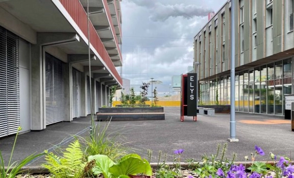 MFH Elsässerstrasse 209+215 Basel